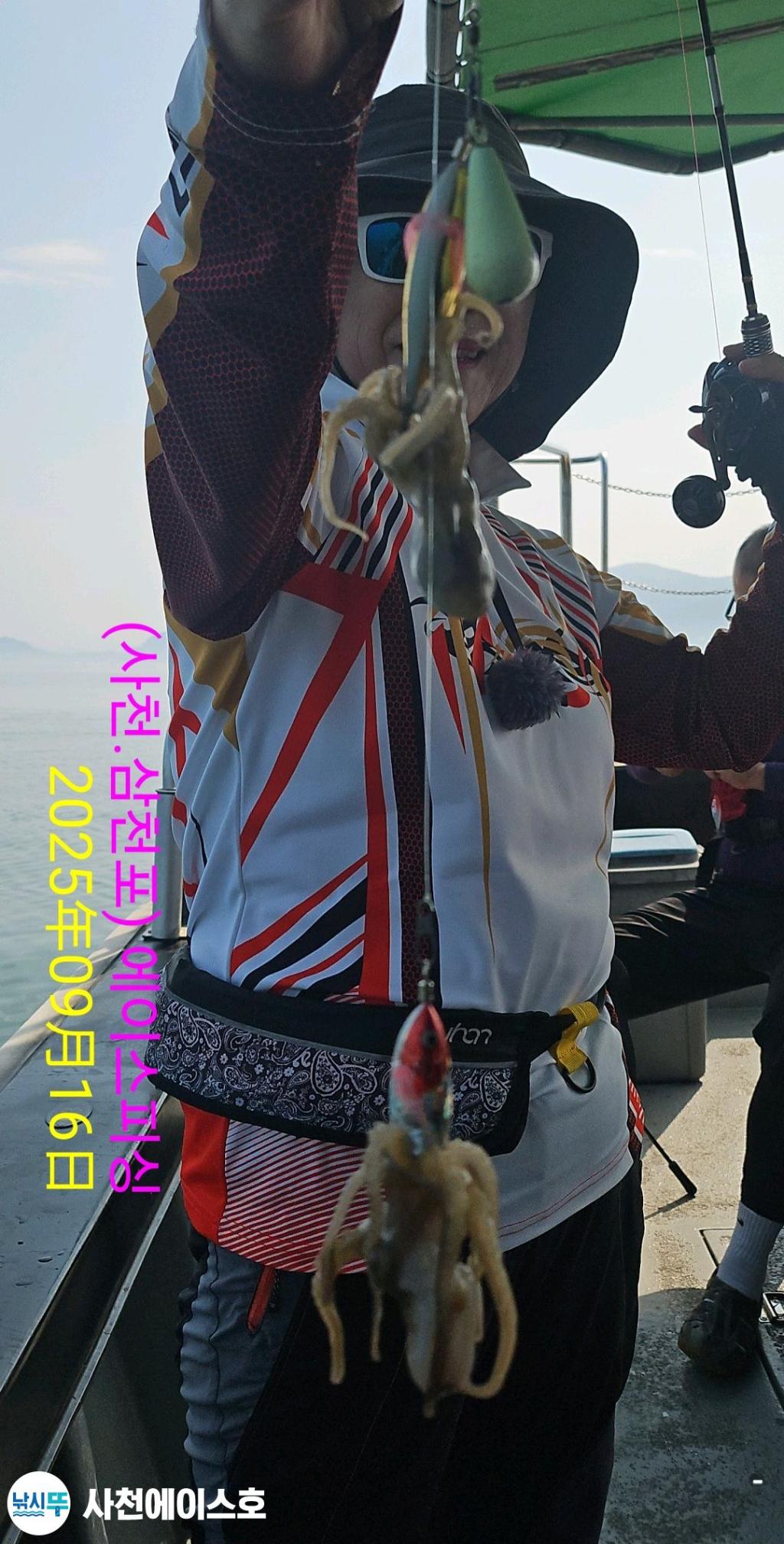 F27795209T.jpg