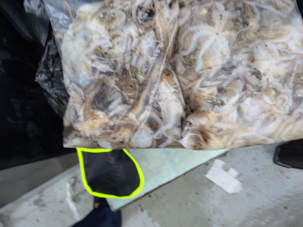 F2779532WO.jpg