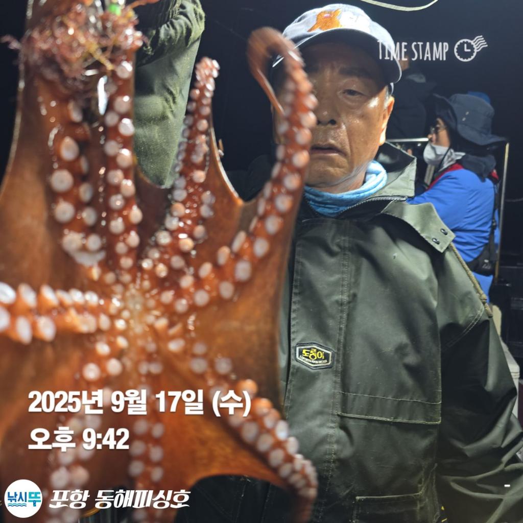 낚시뚜,돌문어,포항(운하관),포항 동해피싱호,낚시뚜0