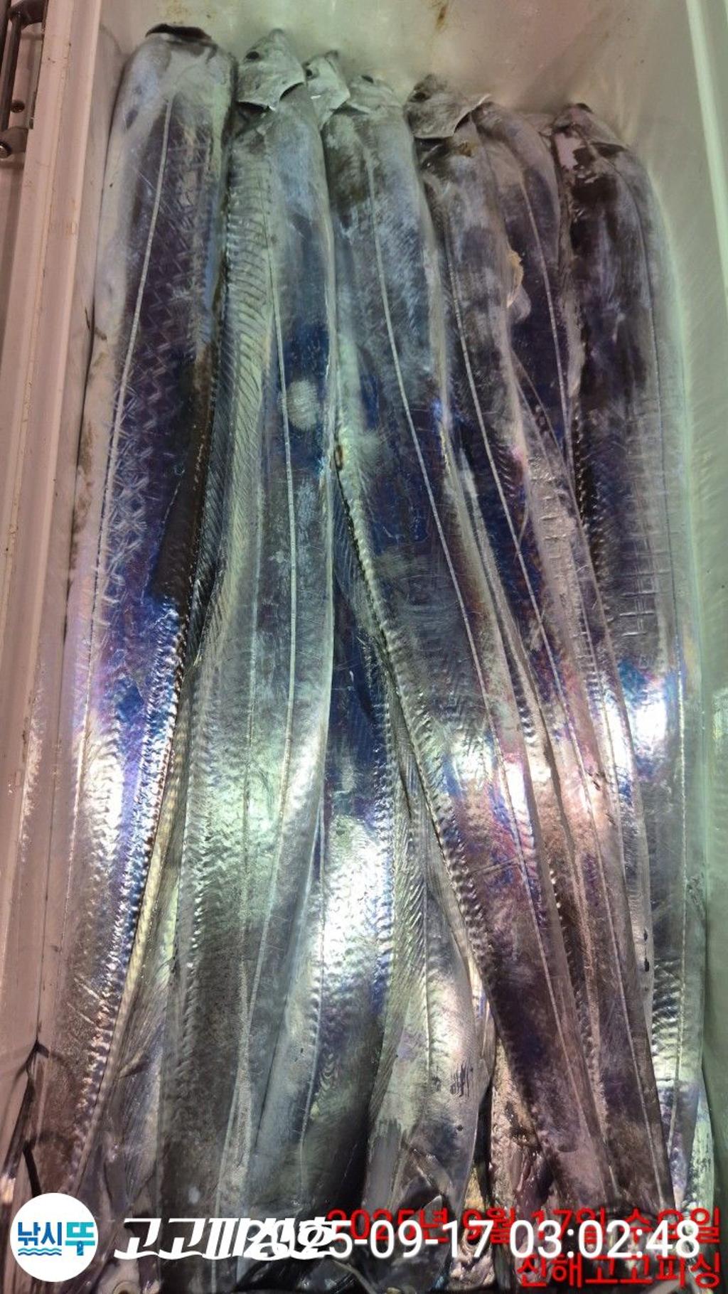 F2779709OG.jpg