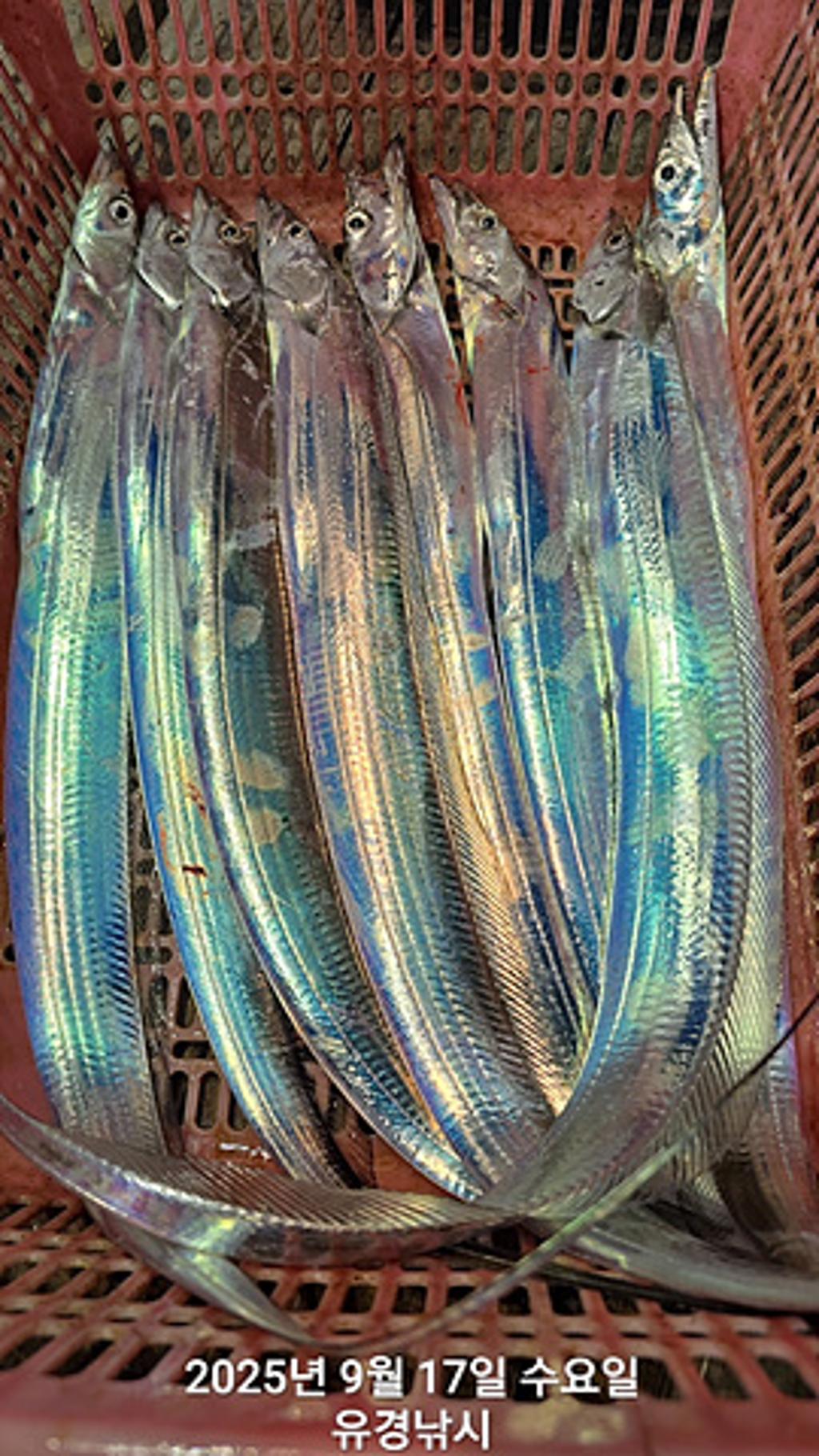 F2779833HK.jpg