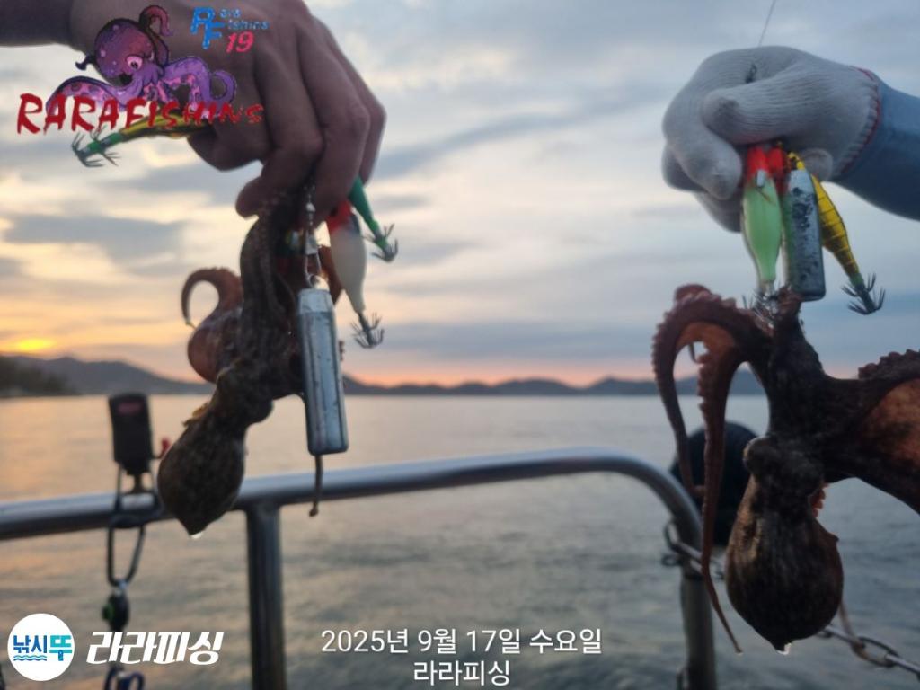낚시뚜,돌문어,속천항(진해),라라피싱,낚시뚜12