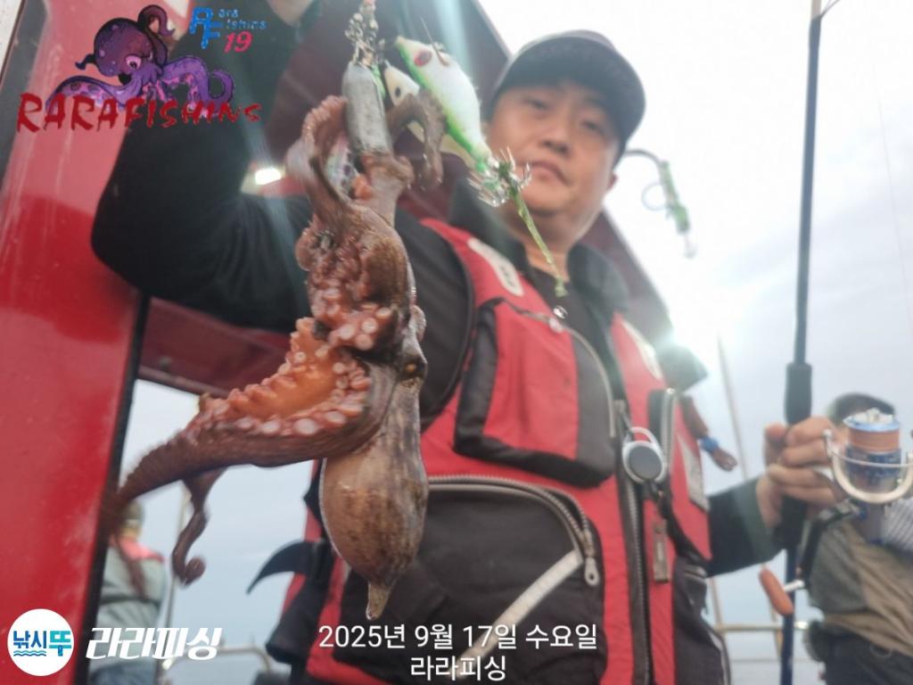 낚시뚜,돌문어,속천항(진해),라라피싱,낚시뚜9