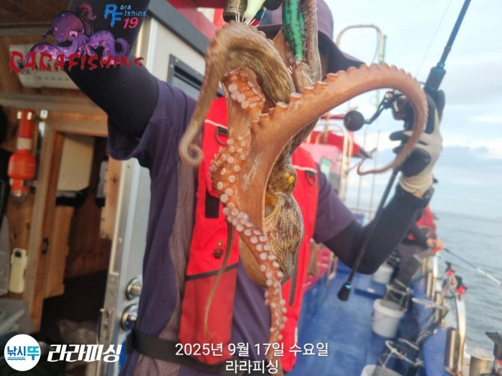 낚시뚜,돌문어,속천항(진해),라라피싱,낚시뚜7