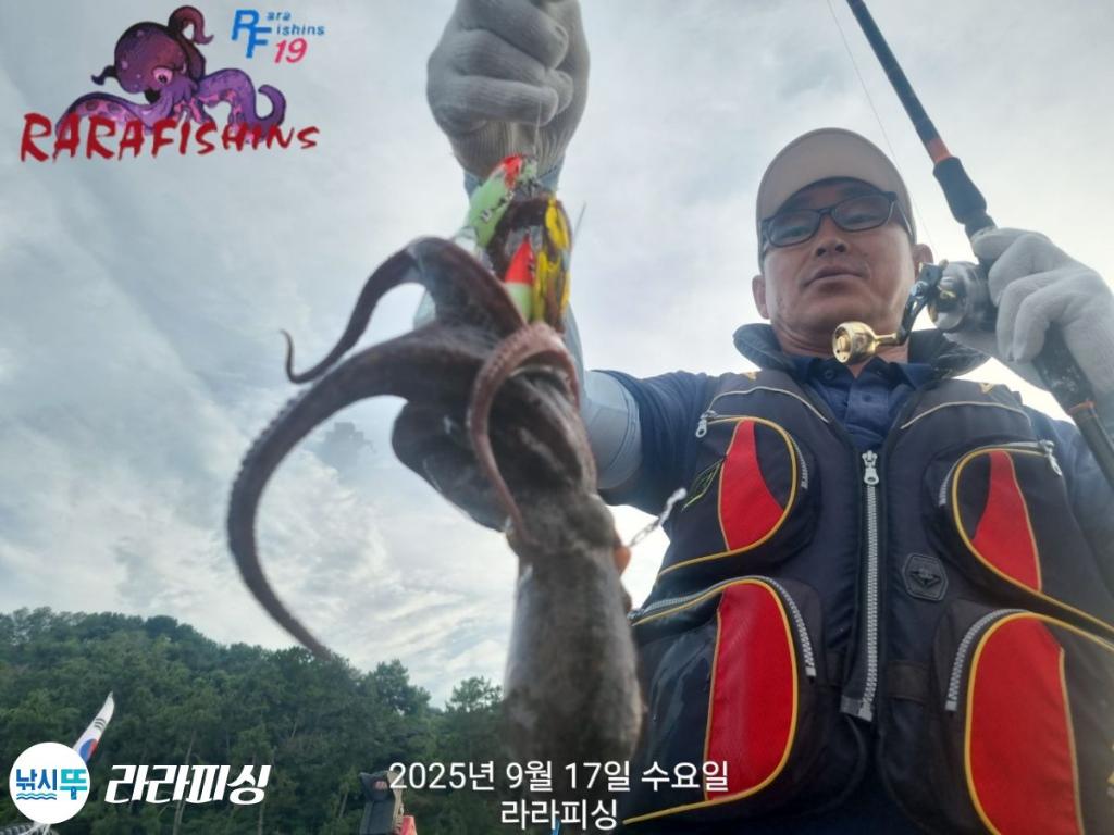 낚시뚜,돌문어,속천항(진해),라라피싱,낚시뚜5