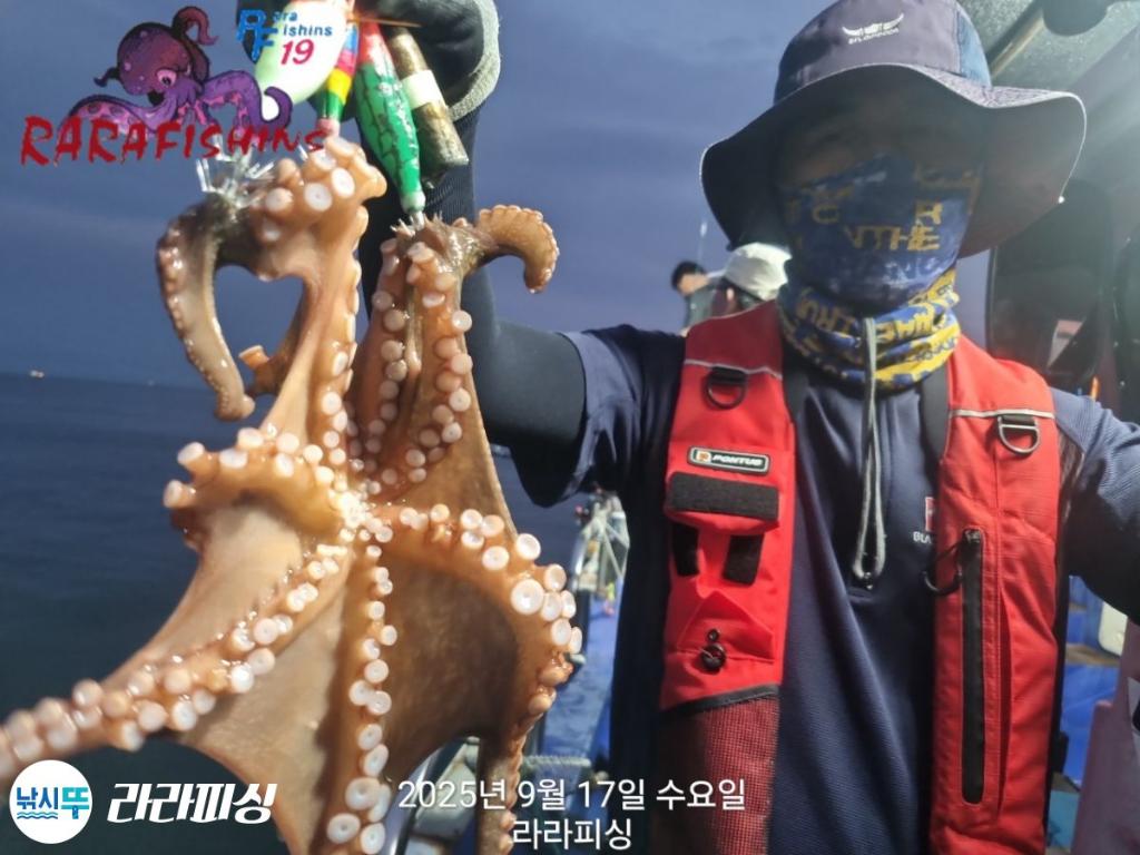 낚시뚜,돌문어,속천항(진해),라라피싱,낚시뚜2