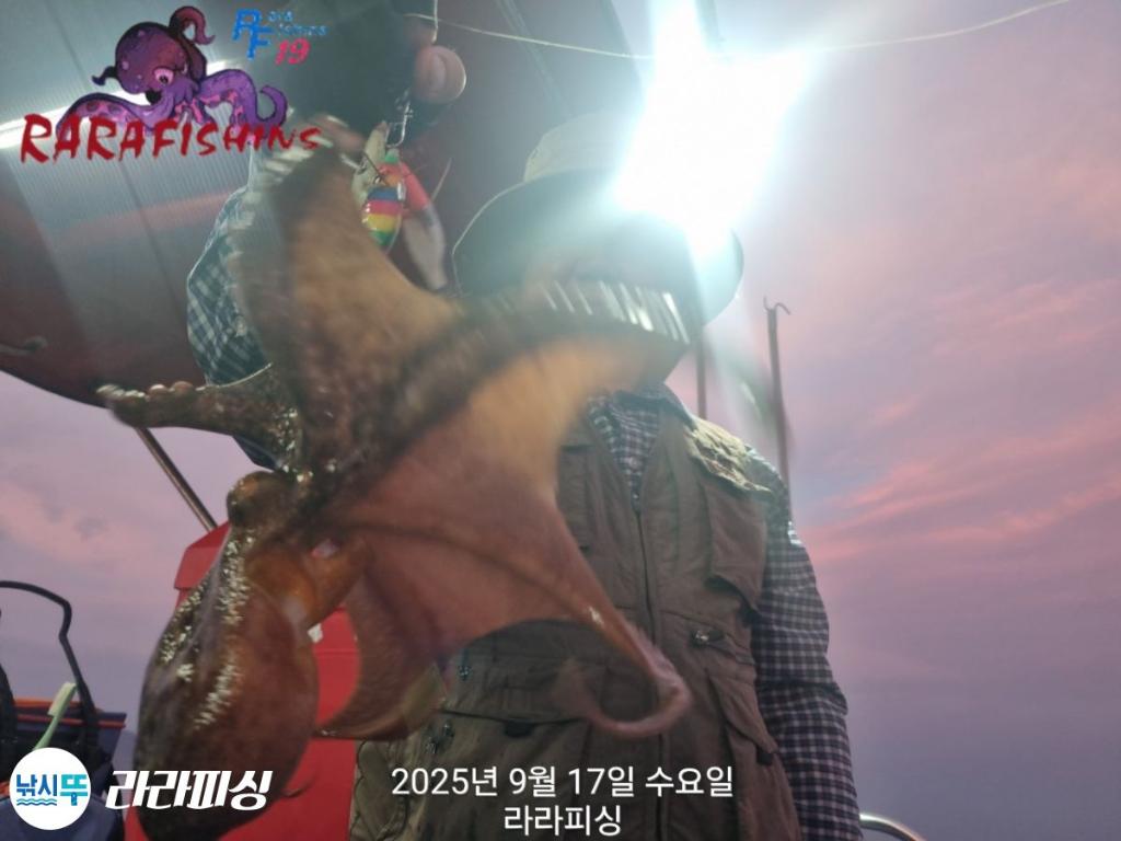 낚시뚜,돌문어,속천항(진해),라라피싱,낚시뚜1