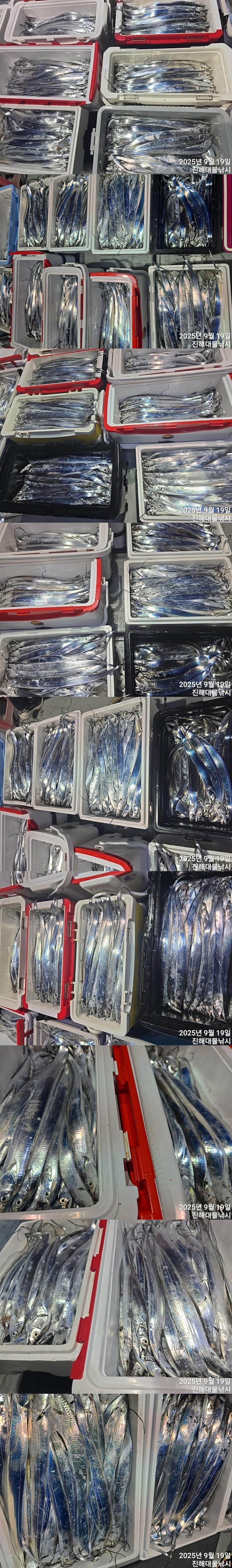 F2780324TJ.jpg