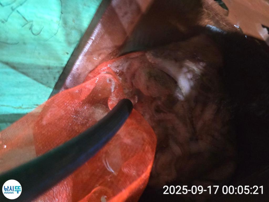 F27803486V.jpg