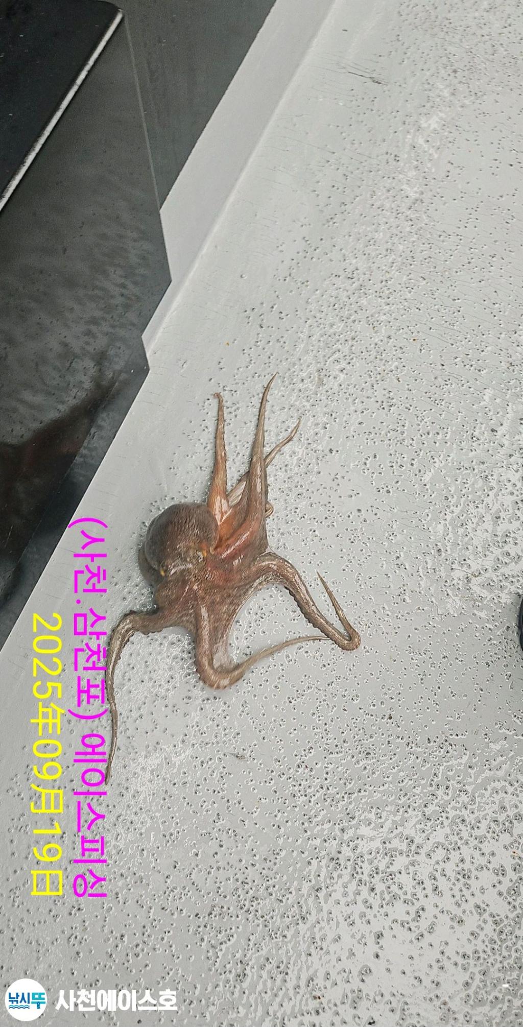 F2780438FP.jpg