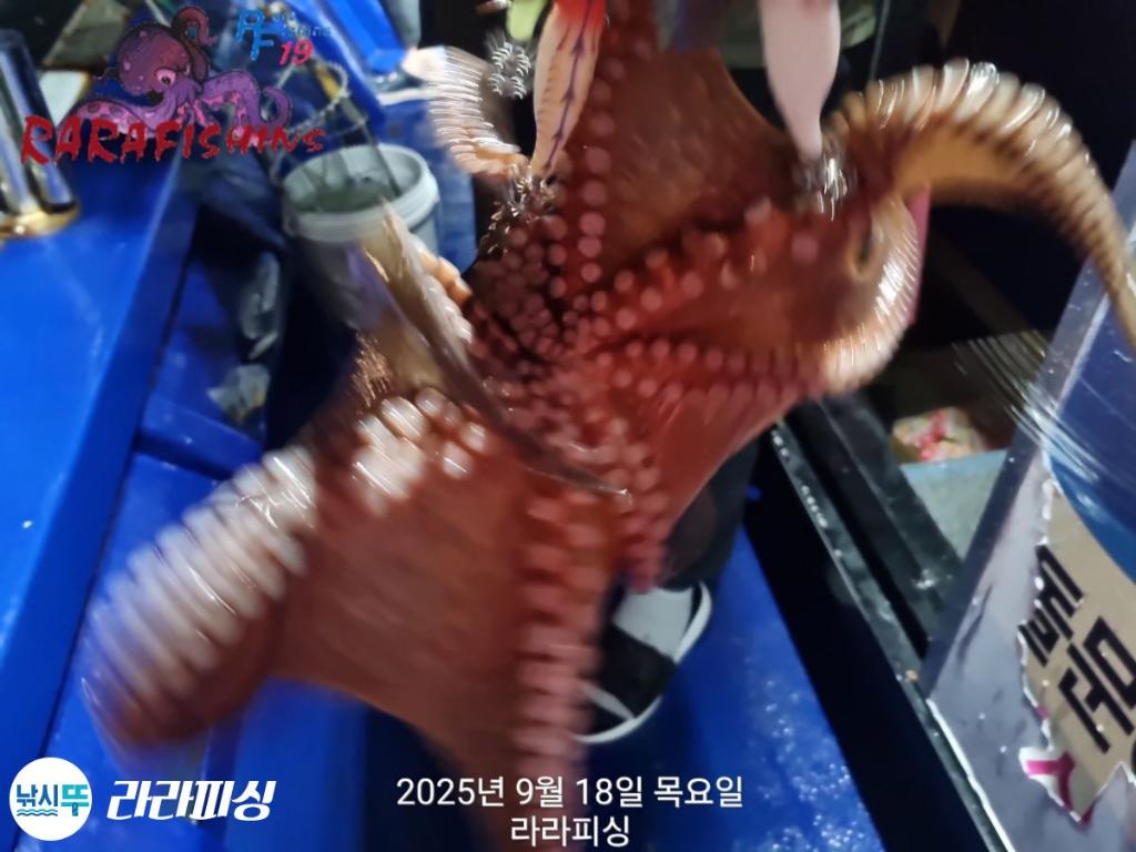 F2780471AR.jpg