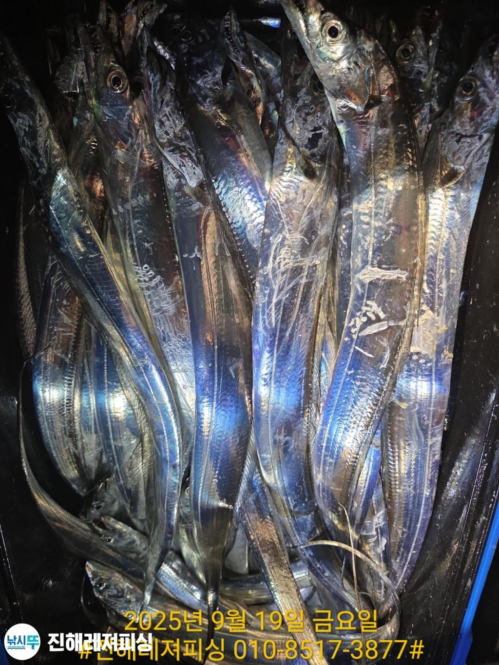 F2780604PF.jpg