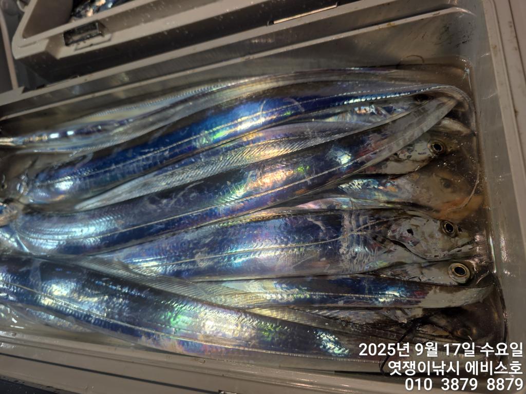 F27807109Z.jpg
