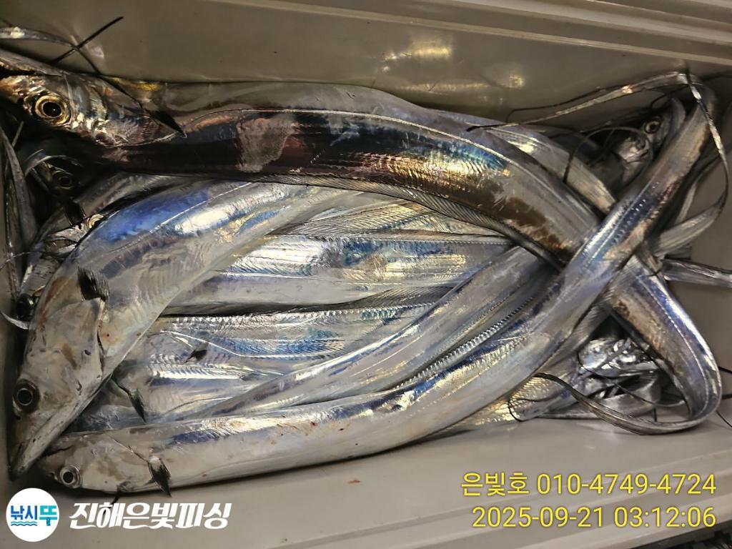 F2780908CC.jpg
