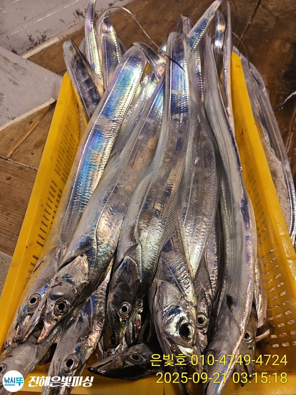 F2780913Y2.jpg