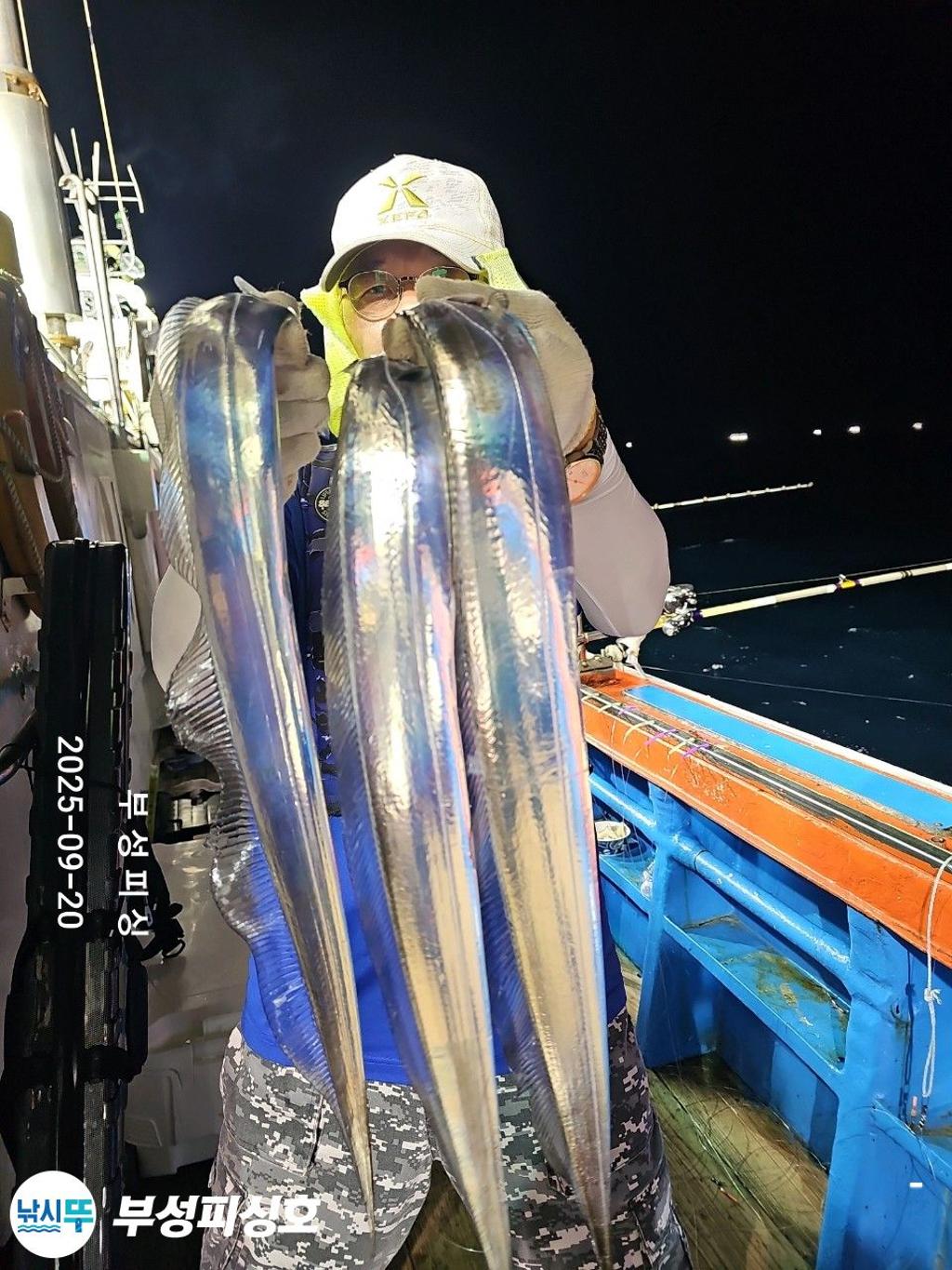 F2780967WW.jpg