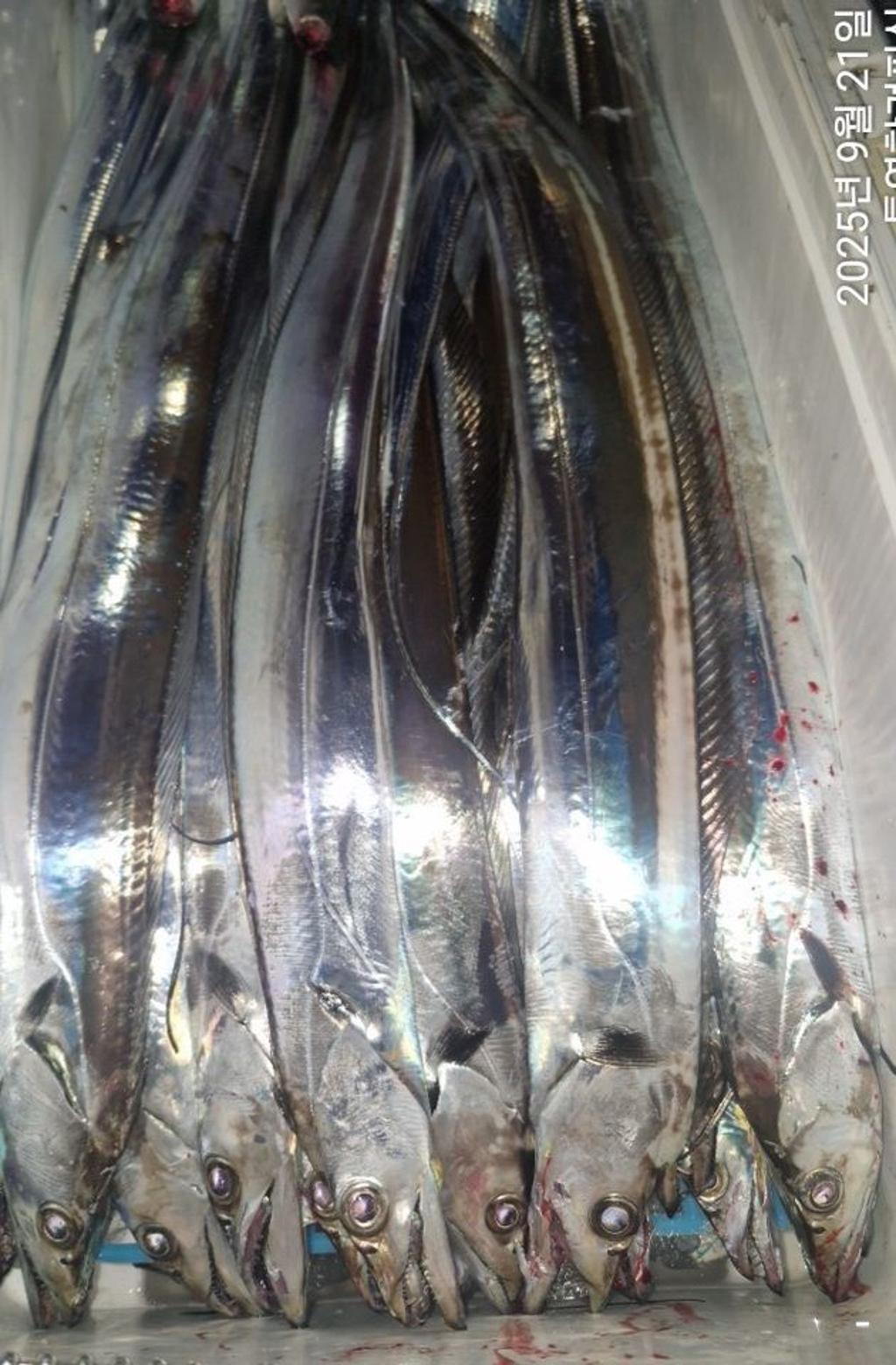F2781006X7.jpg