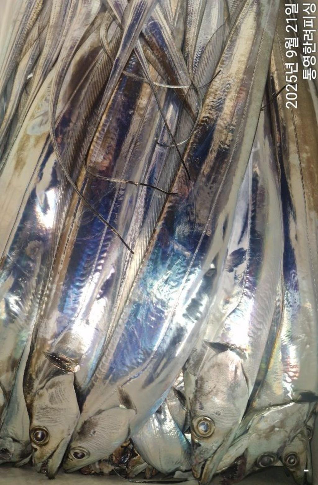 F2781007XS.jpg