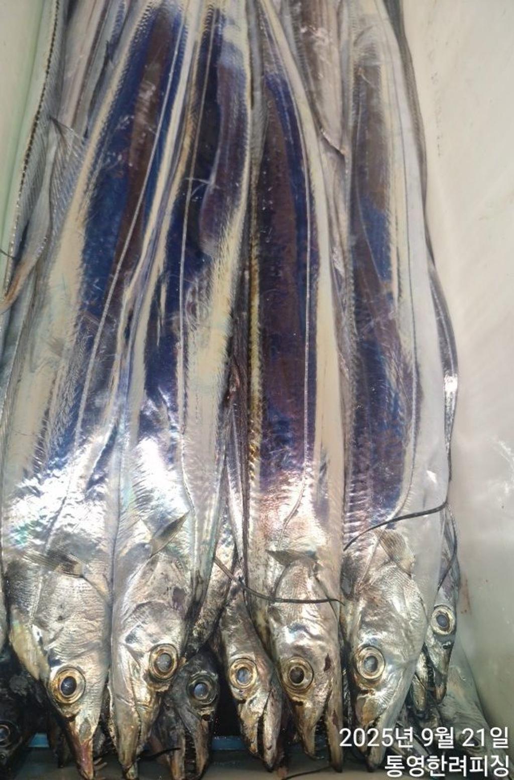 F2781010HD.jpg