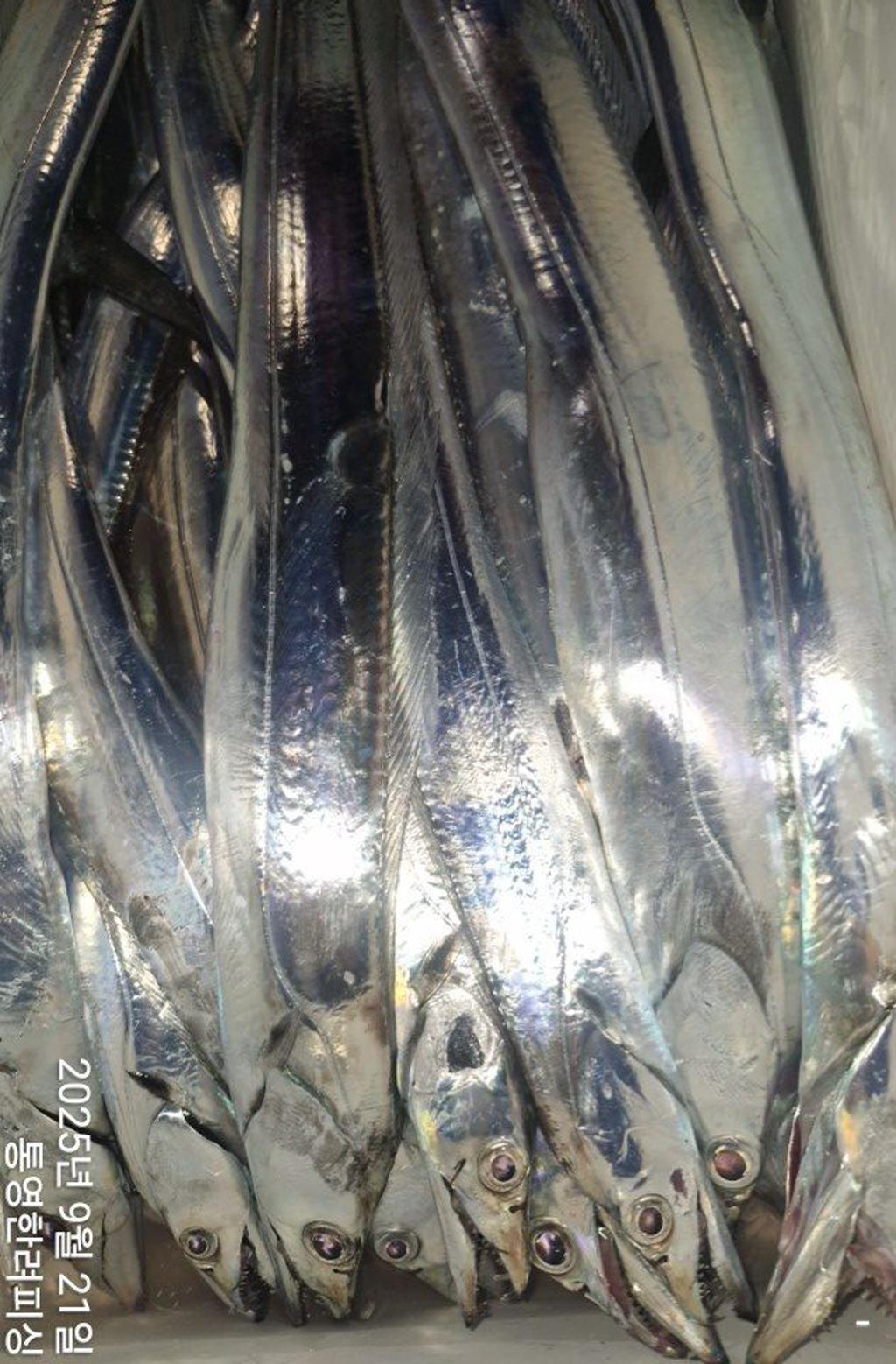 F2781014LW.jpg