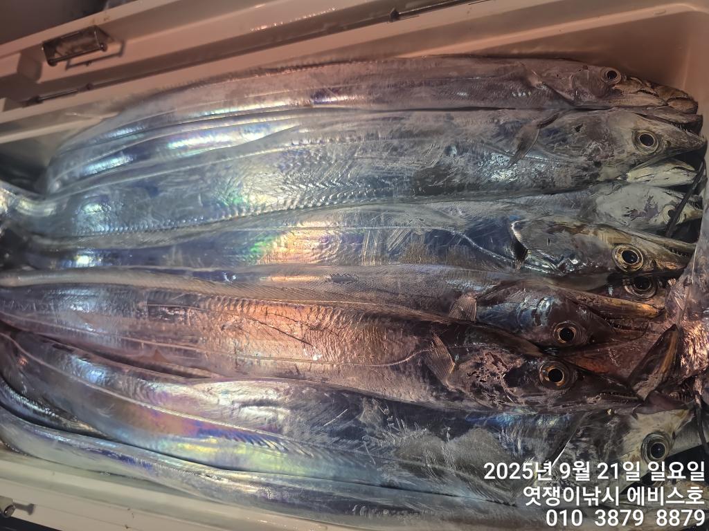 F2781100MC.jpg