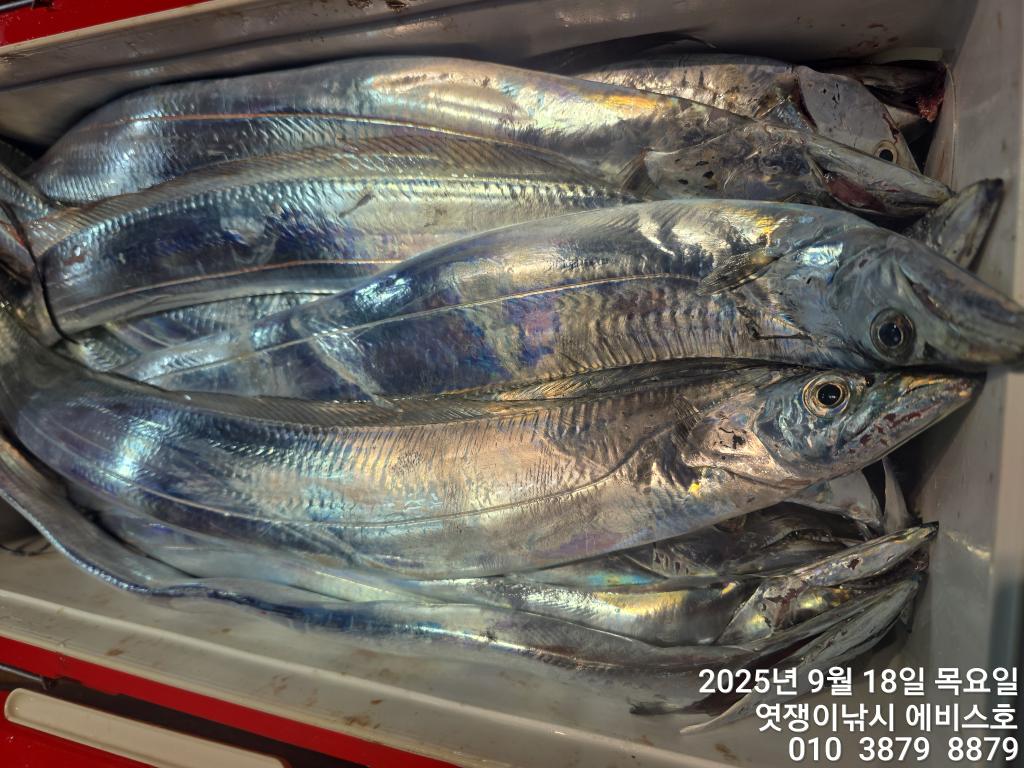 F2781141BR.jpg