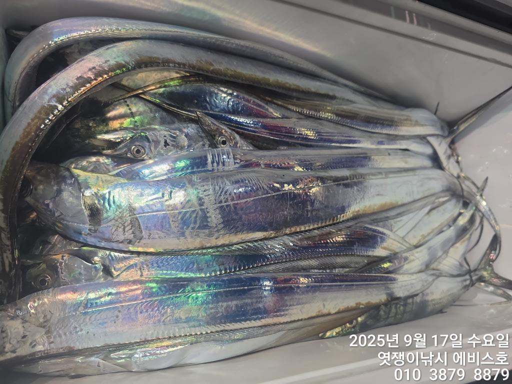 F278116115.jpg