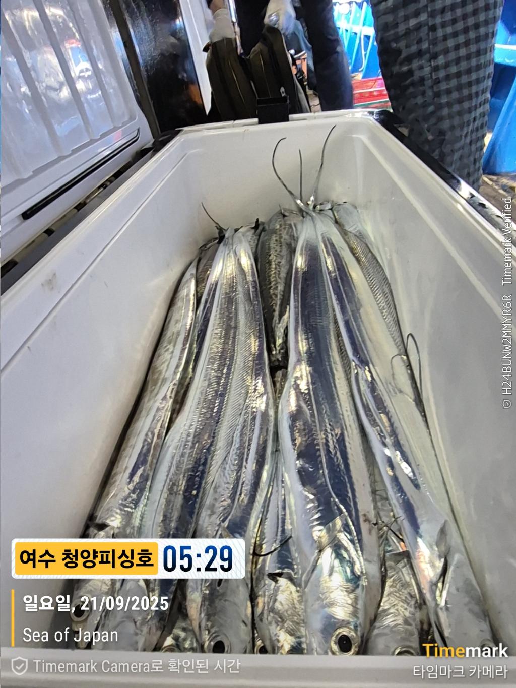 F2781241CY.jpg