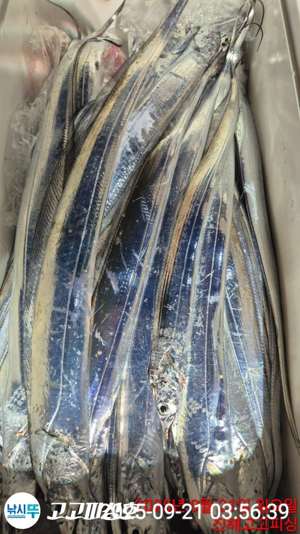 F2781252CI.jpg
