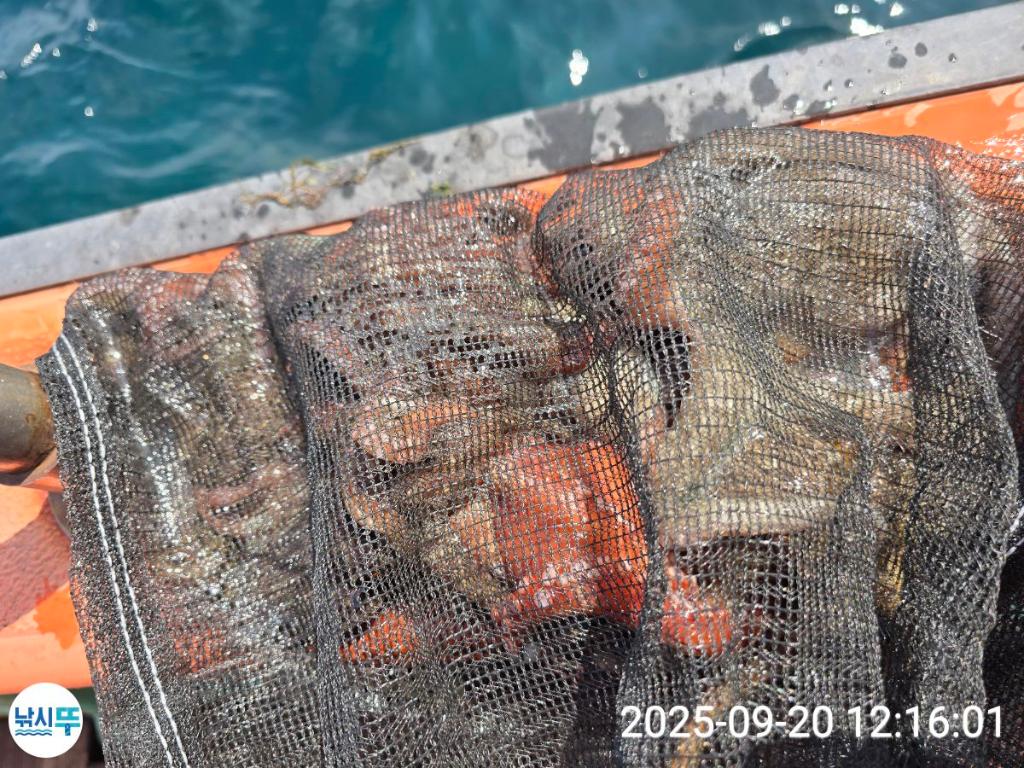 F278127434.jpg