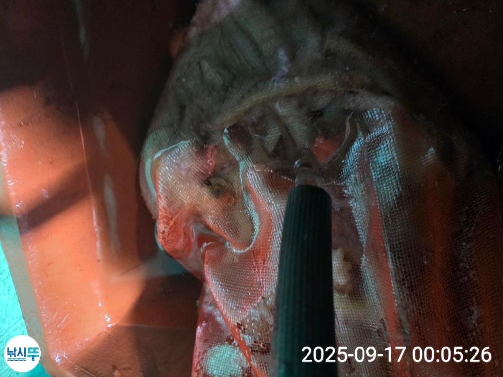 F27812844N.jpg