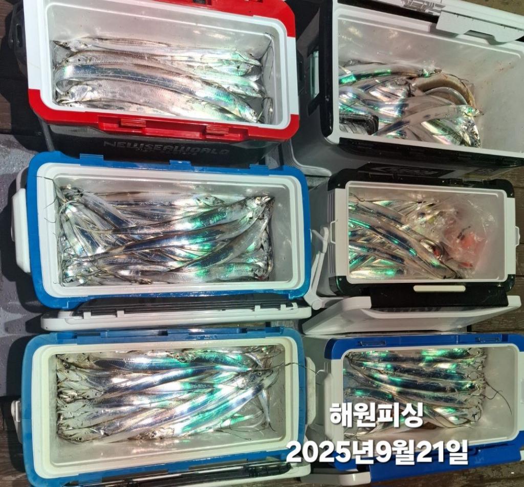F27813802L.jpg