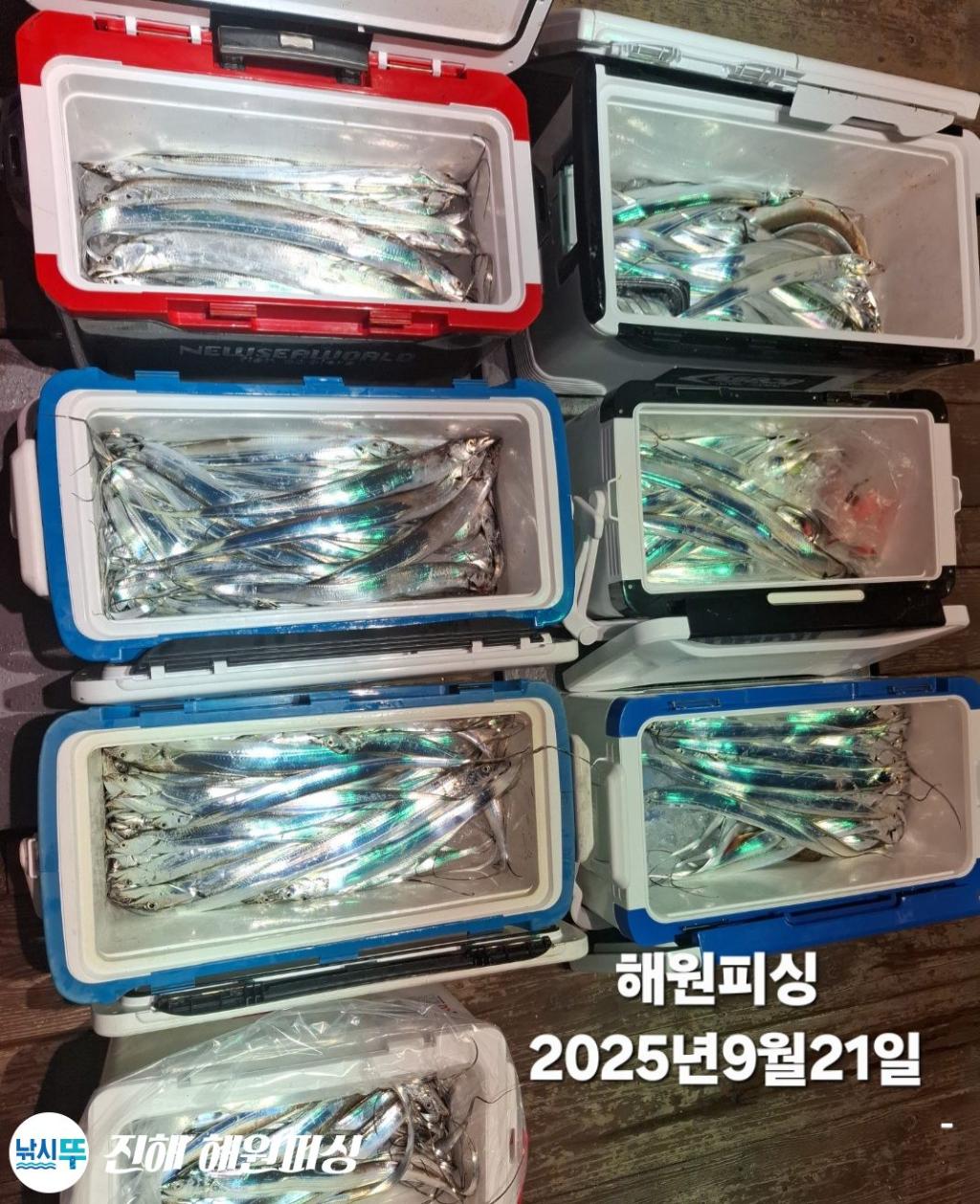 F278138276.jpg