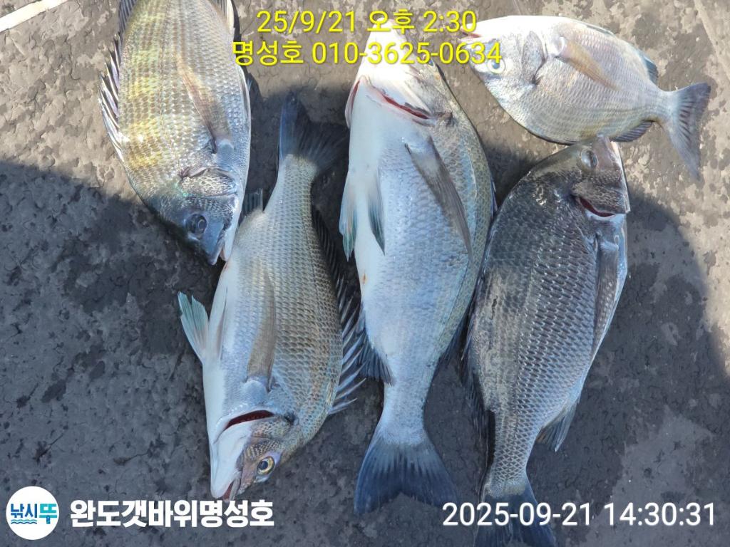 F2781434US.jpg