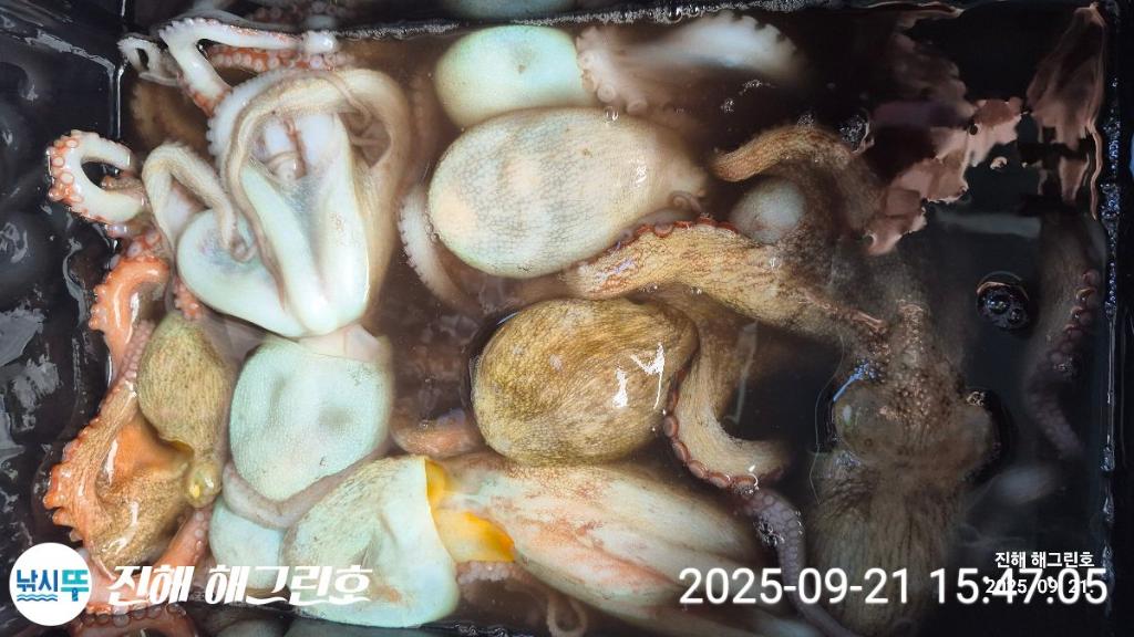 F27814764P.jpg