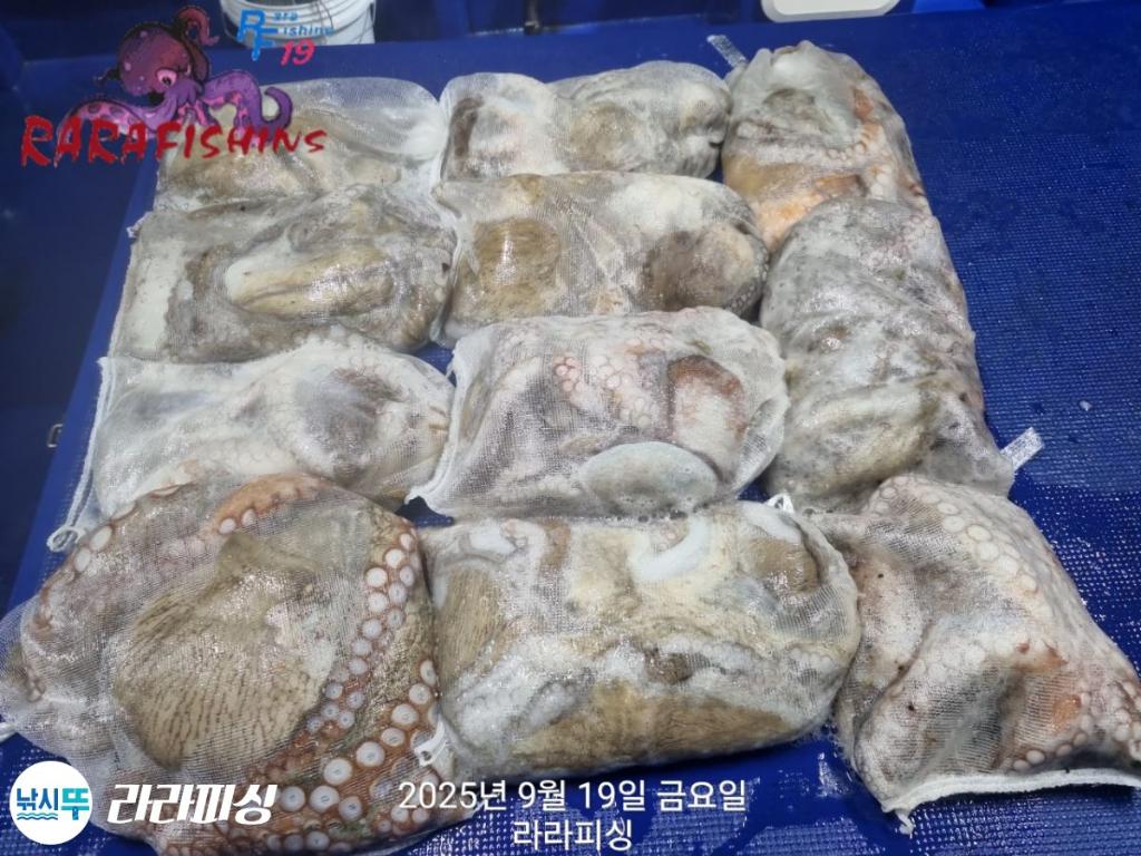 F2781483CH.jpg