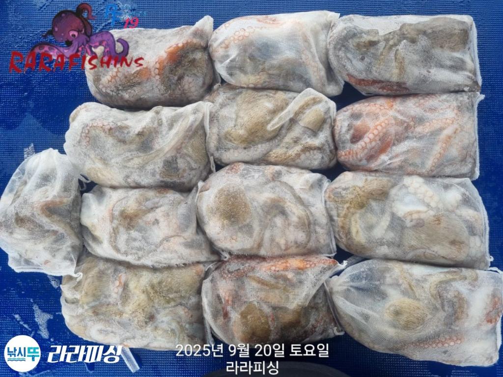 F2781491ZH.jpg