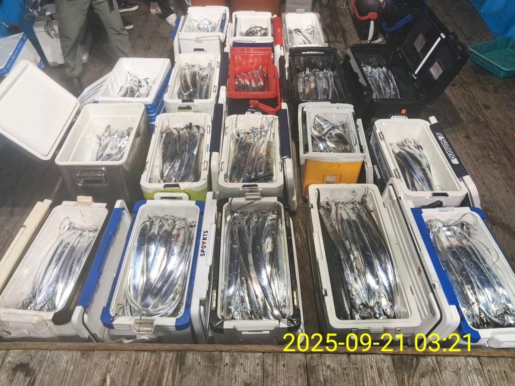 갈치, 삼포대교낚시, 낚시뚜