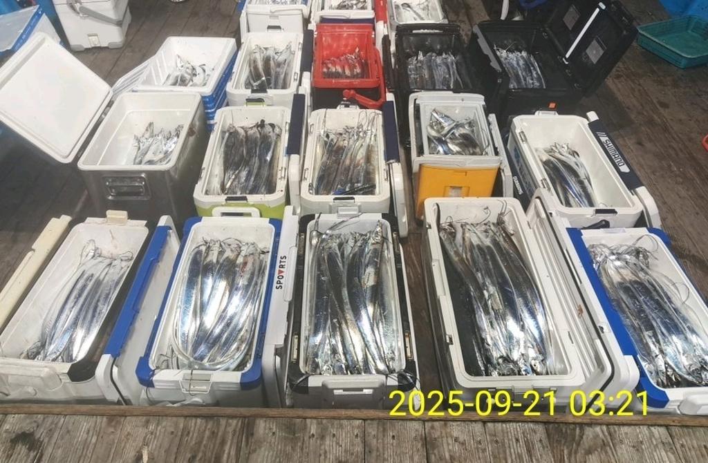 갈치, 삼포대교낚시, 낚시뚜