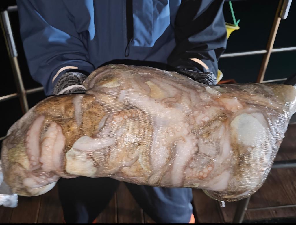 F2781757RM.jpg