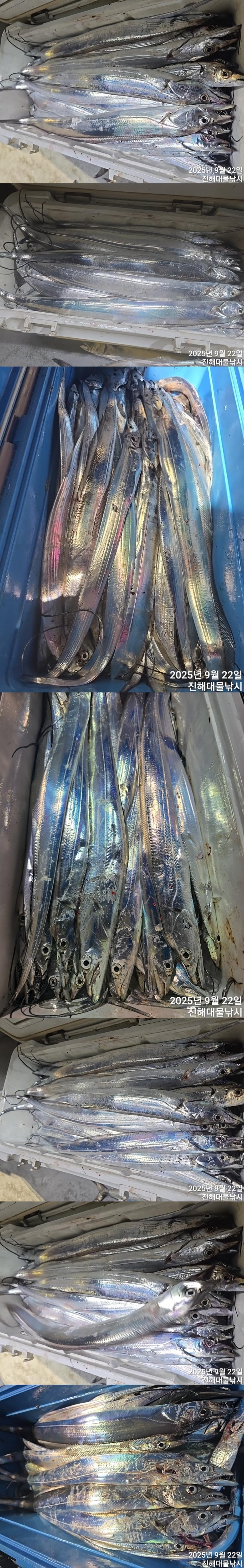 F278177012.jpg