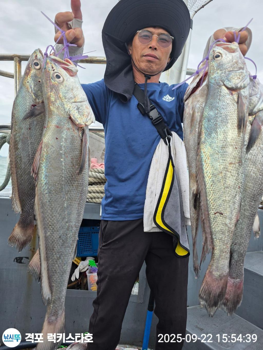 F2781888PQ.jpg