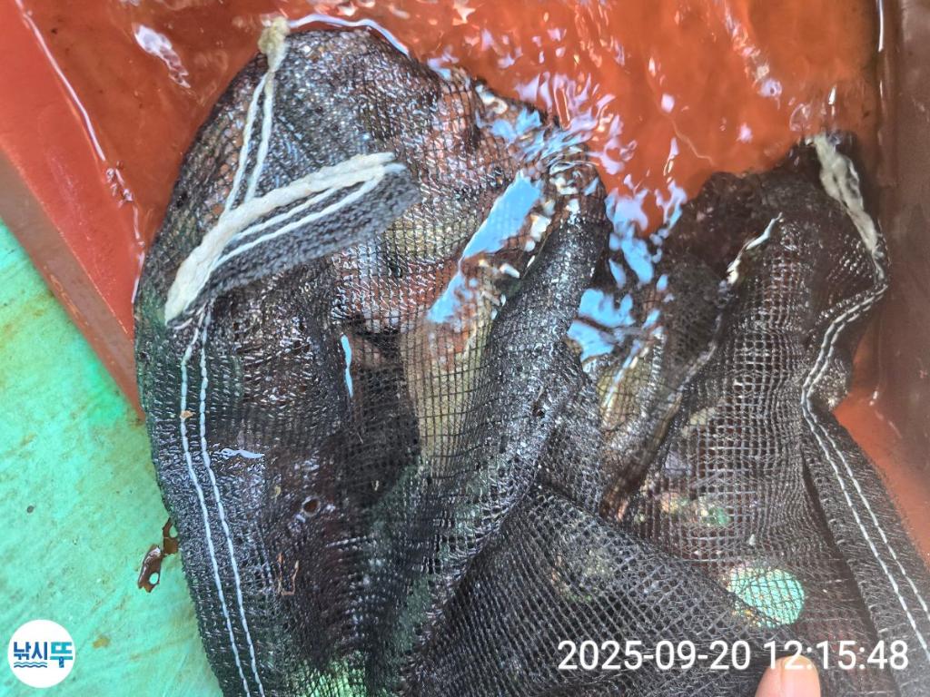 F27820578N.jpg