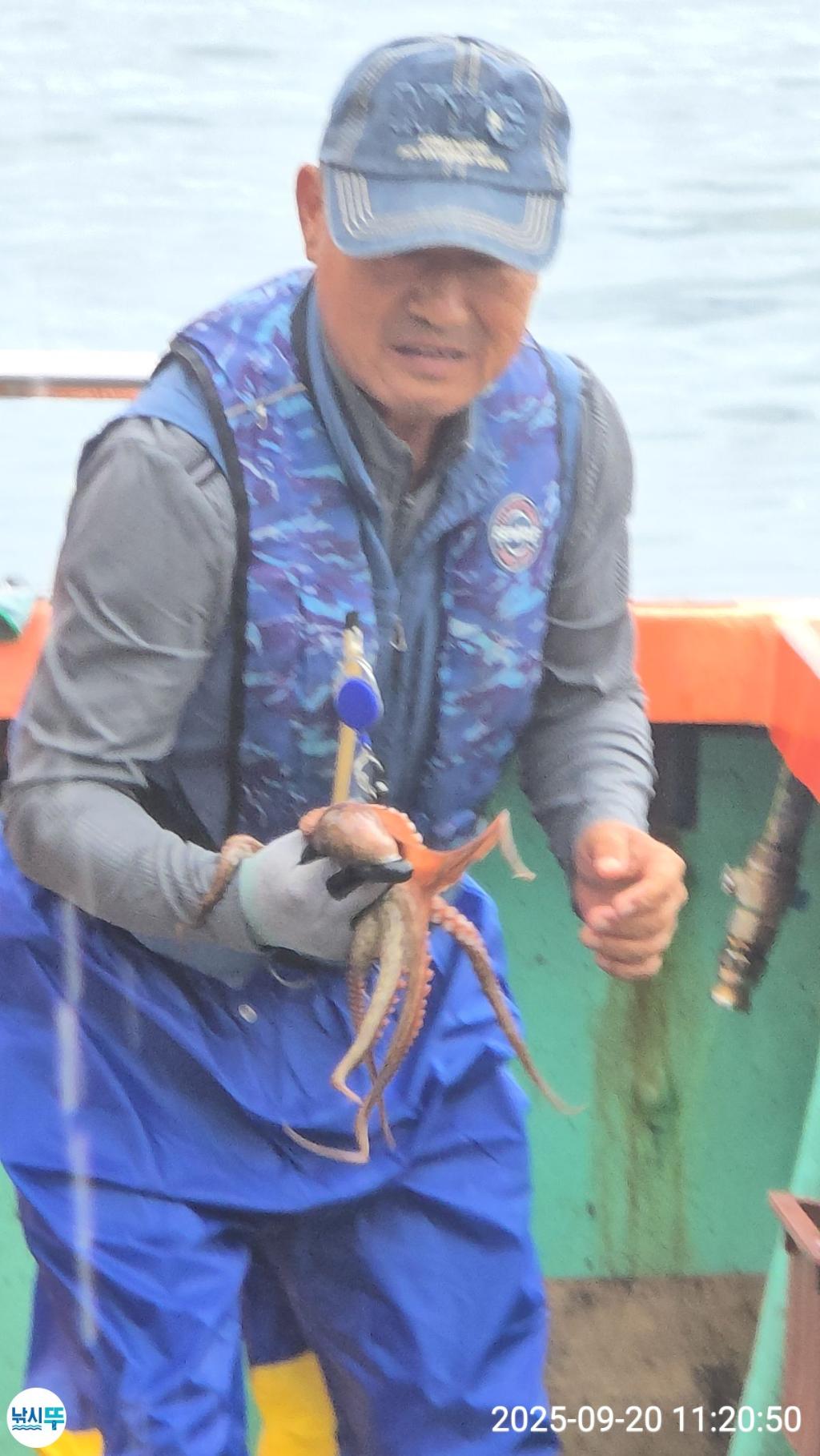 F2782062DZ.jpg