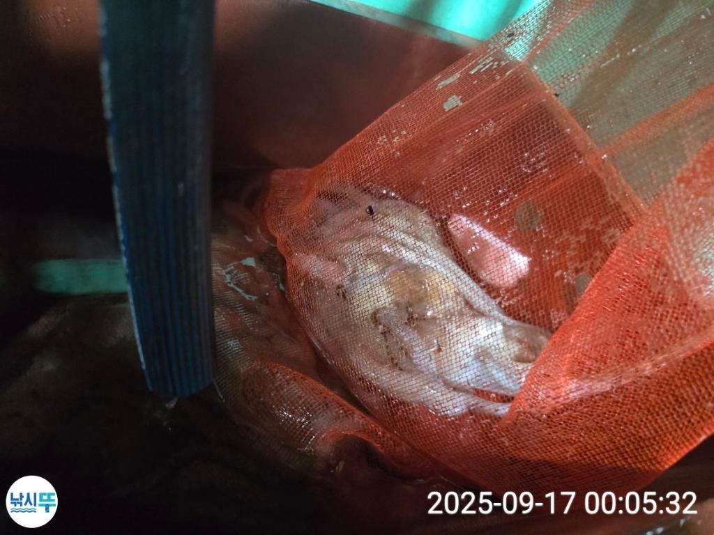 F2782081Y0.jpg