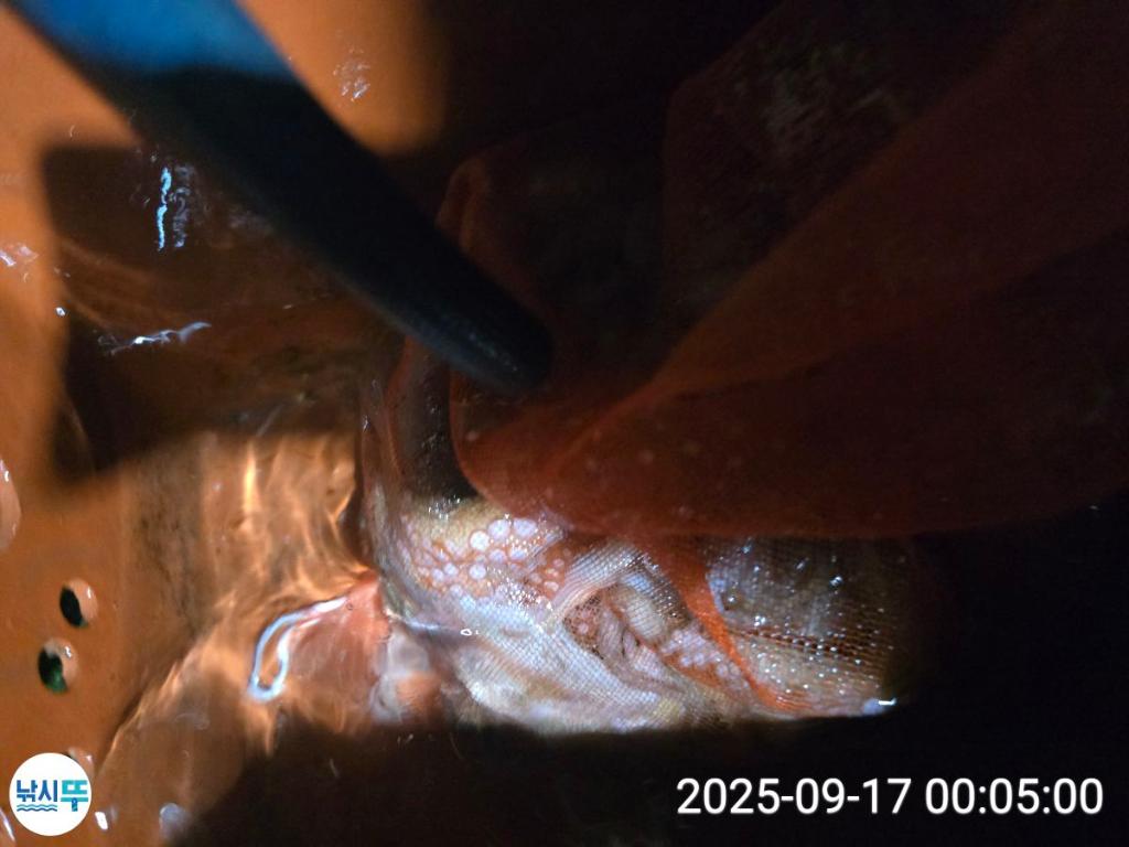 F278208423.jpg