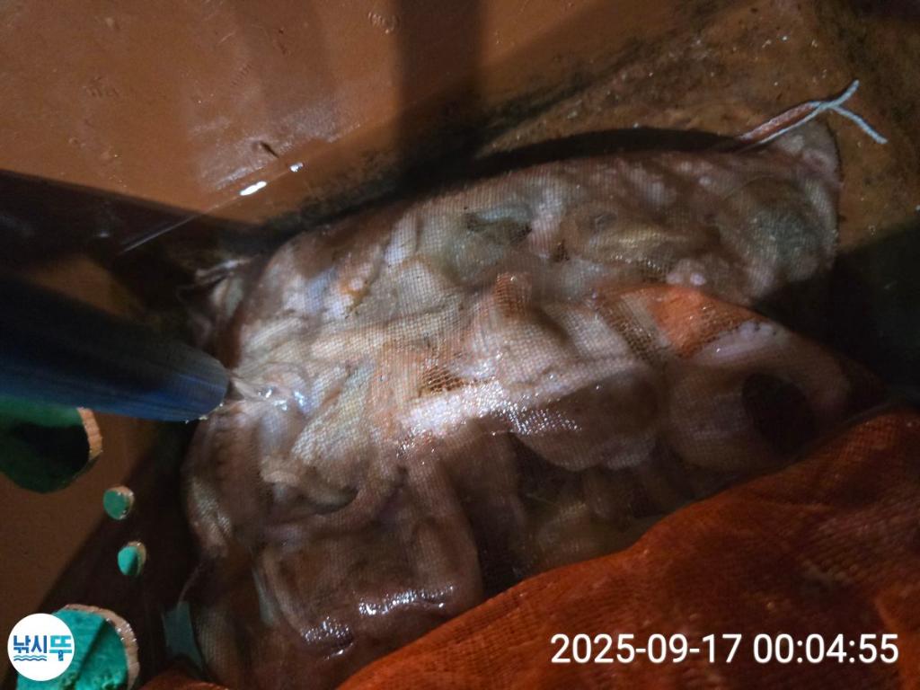 F2782088K9.jpg