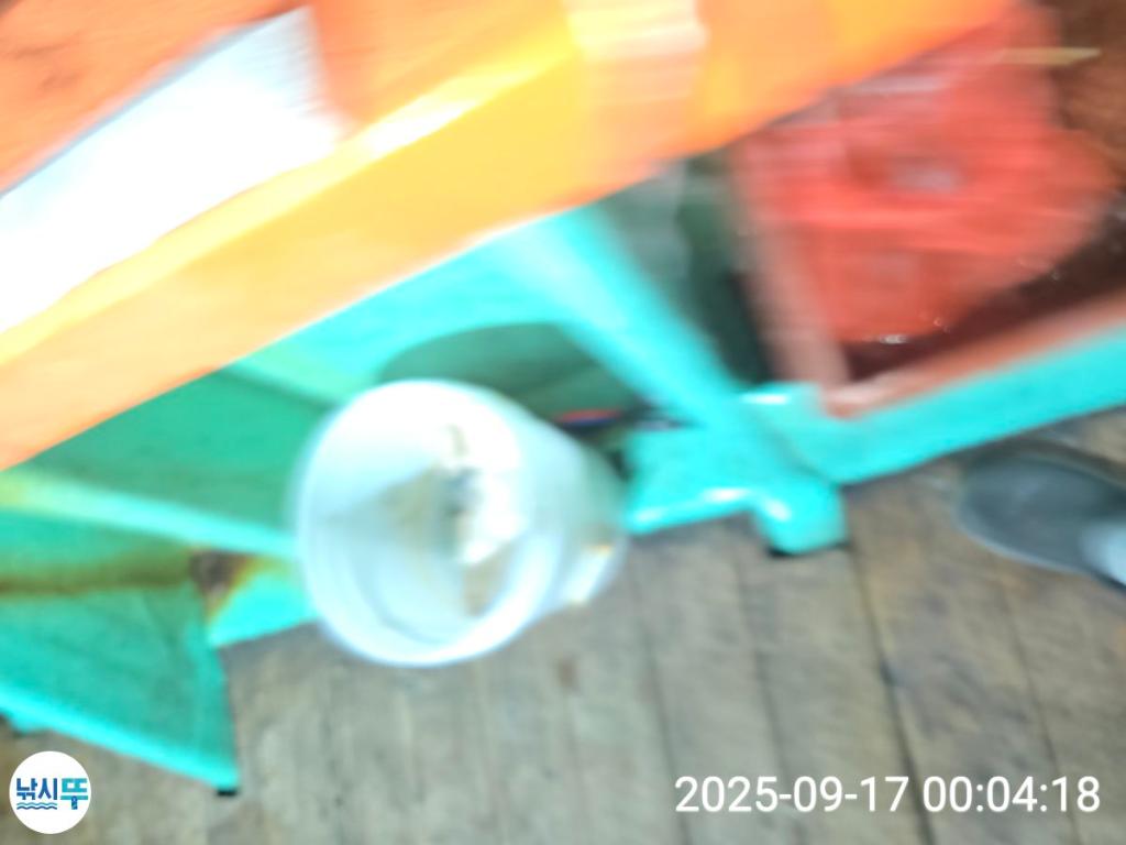 F2782089TF.jpg