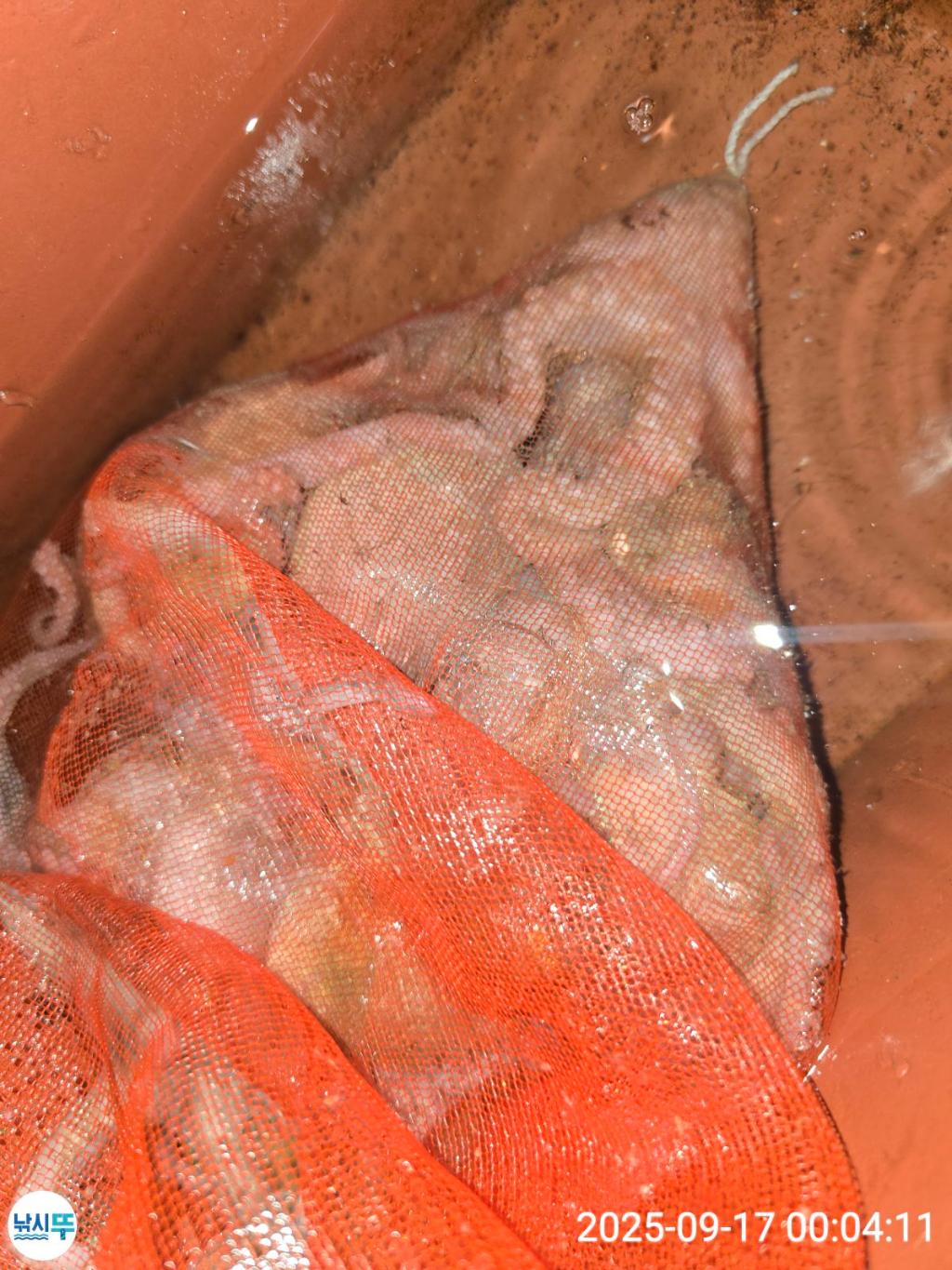 F27820906A.jpg