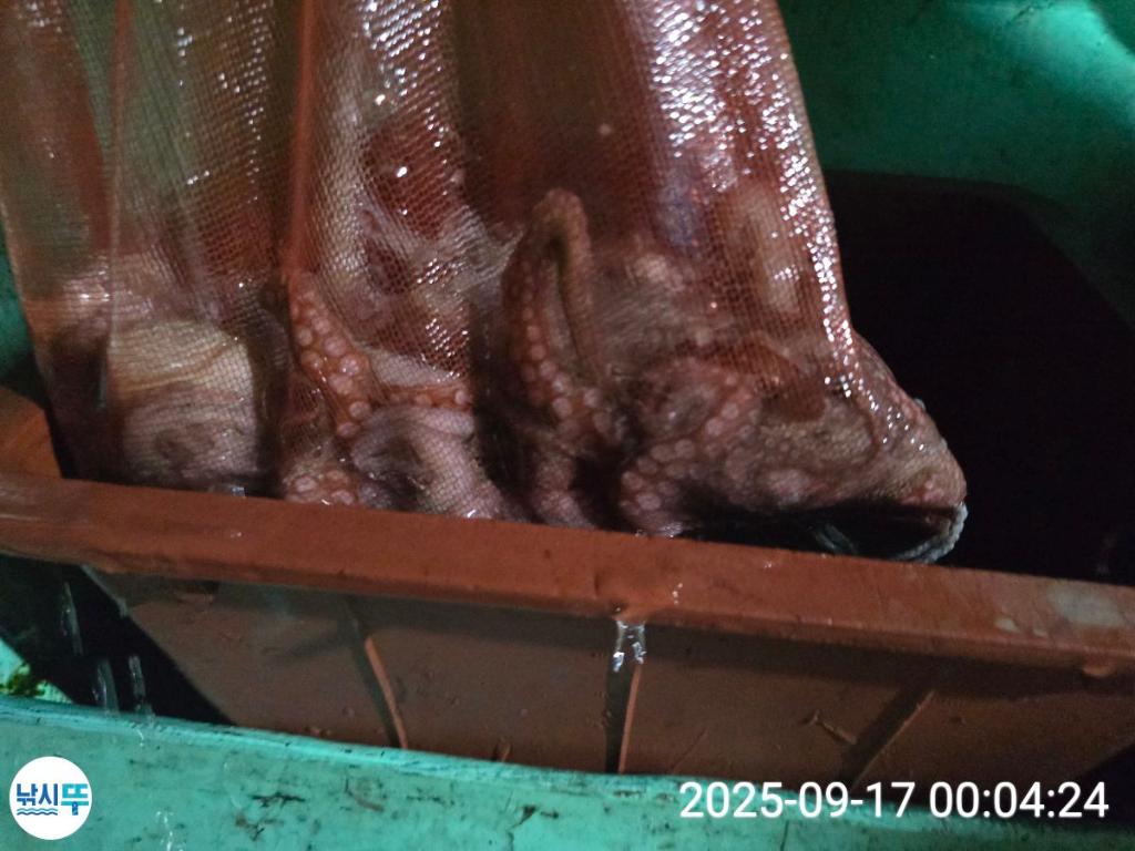 F2782091EN.jpg